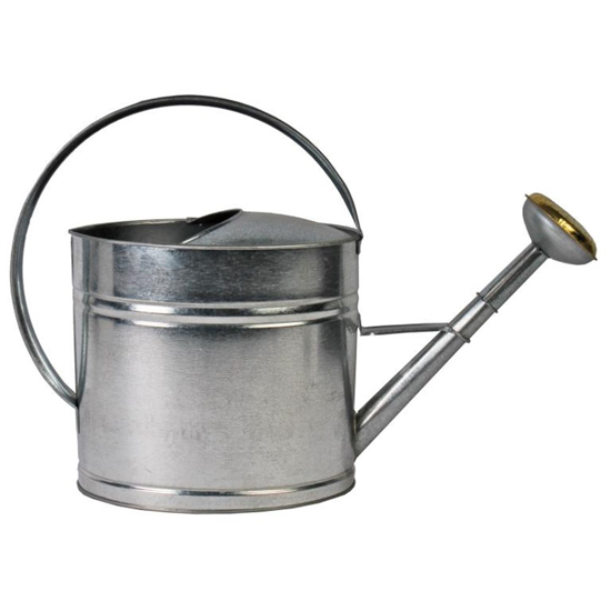 Afbeeldingen van GIETER GEGALV