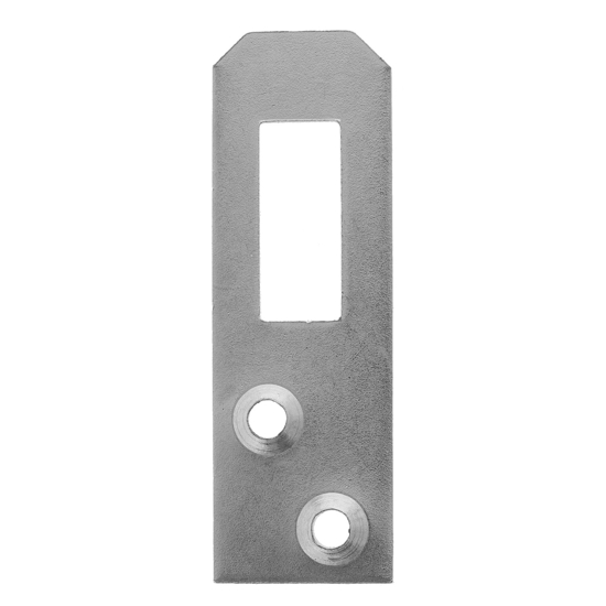 Afbeeldingen van REKOOGSTANDAARD VZ 60 MM X 20 MM X 1 100ST