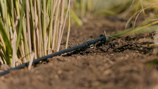 Afbeeldingen van GARDENA START SET S 15M